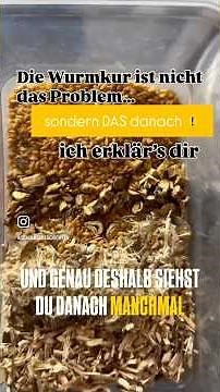Wurmkur beim Pferd – der größte Fehler danach #pferdefütterung #equestrian #pferdegesundheit #diy