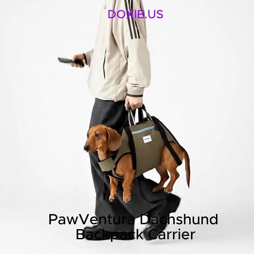 127K views · 1K reactions | Ever seen a sausage with a view?  With...