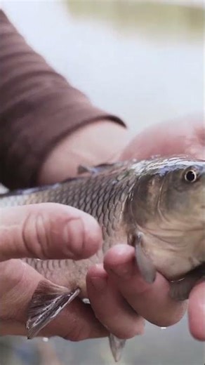 Modern Food Arrived in the Last 3 Minutes of Human History