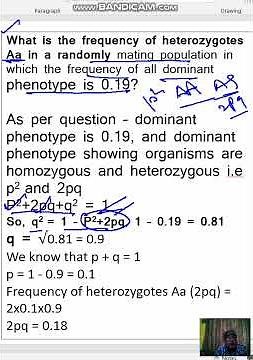 numerical about Hardy weinberg principle