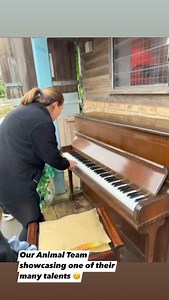 5.9K views · 30 reactions | The Meadows Wildlife Park on Reels | Facebook