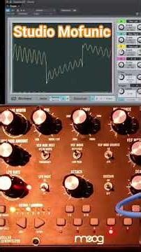 Moog Mother-32 Jam #music #moog #synth #electro