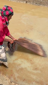 41K views · 133 reactions | Fishing | MRL HD | Facebook