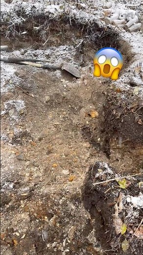 Garbage Dump Digging for 100 Year OLD TREASURES - Bottle Digging 2026 🔥 #shorts #vintage #history