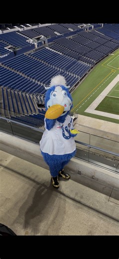 LET’S GOOOOO | Let's Go