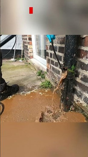 Oozy Soil Stack #drainage #diy #deepcleaning