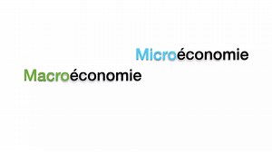 Comprendre la différence entre la micro et la macroéconomie | Économiste