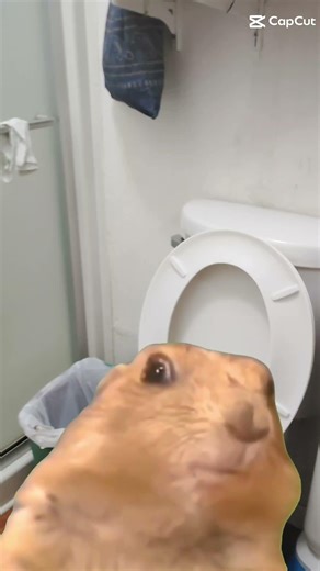 bro Is trying to go poop