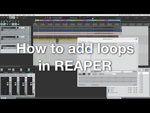 How to add loops in REAPER