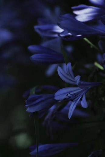 خشوع لا يوصف 🤍✨. #قرآن #المصحف #اكسبلور #quran #راحة_نفسية #اشتراك #لايك #شريف_مصطفى