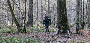 La sylviculture : imiter la nature, hâter son œuvre