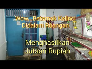 Kandang Indoor Untuk Beternak Kelinci Di Pemukiman Padat Penduduk