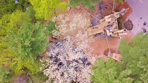 TreeTop Adventures is zipline and climbing fun located just 30 minutes south of Boston in Canton, MA. Great for... 🔶Family Outings 🔶Vacation Experiences 🔶Groups & Birthdays 🔶Sports Teams 🔶School Groups and more.... Our 10 trails range in difficulty level from beginner to expert and consist of obstacles like rolling logs, bridges, ladders, tight ropes, zip-lines and more! 👉Opportunity for adventure is boundless at TreeTop Adventures! | TreeTop Adventures