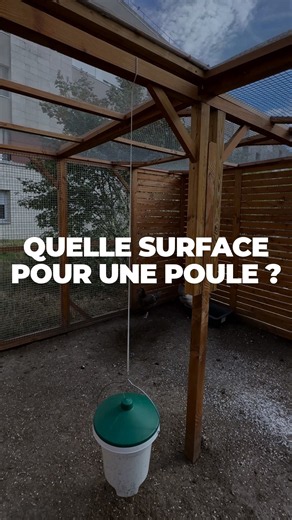 QUELLE SURFACE PRÉVOIR POUR UNE POULE DANS SON JARDIN ?