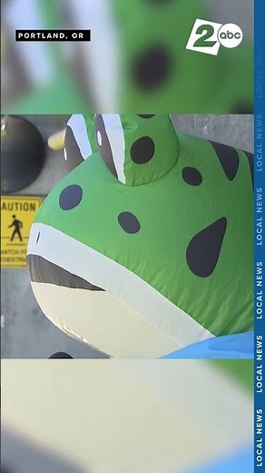 'Frog' protester recounts being pepper-sprayed at protest outside Portland ICE facility