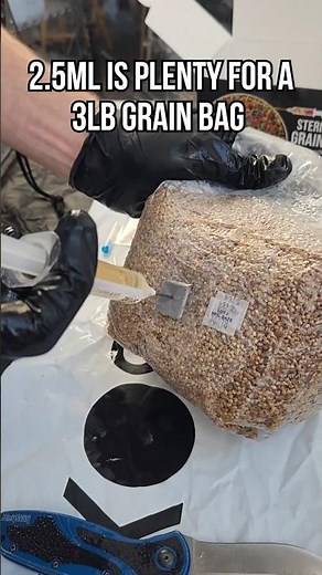 How to Inoculate a Grain Bag with Injection Port | Grow Mushrooms