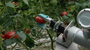 10K views · 76 reactions | China's farming sector has embraced advanced technologies in recent years, with intelligent technologies playing a key role in securing food security and driving rural revitalization. | China Xinhua Sci-Tech | Facebook