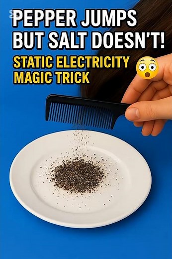 “Pepper Jumps but Salt Doesn’t! 😱✨ Static Electricity Magic Trick!”