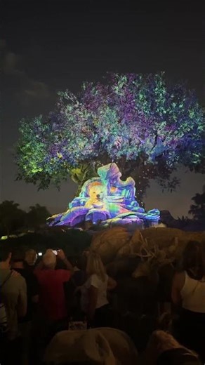🐘 The Tree of Life Awakens Part 2 — Disney’s Animal Kingdom Nighttime Show ✨