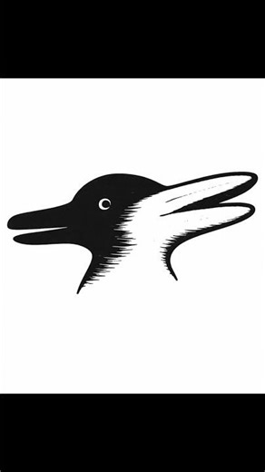 What Do You See First?