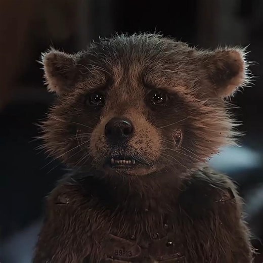 The Moment Rocket Lost His Best Friend