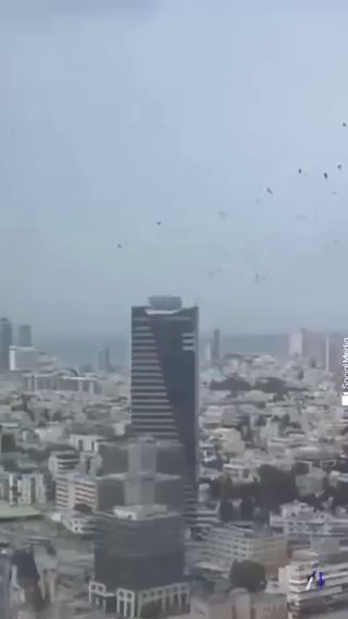 No "harbinger of doom" here. Just more misinformation from Turkey's state media, attempting to push a false apocalyptic view of Tel Aviv.They aren't crows. They are migrating white storks, which can regularly be seen along Israel's coast at this time of year.And, btw, the correct terminology is a "murder of crows" if you want to practice proper journalism, @anadoluagency.