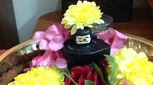 भोलेनाथ को क्यों नहीं चढ़ते हैं ये 10 प्रकार के फूल