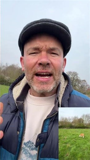 How to Calm a Hyper Dog (Simple & Effective)