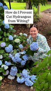 Key tips to prevent wilting: Cut in the morning…When the plant is fully hydrated but if I need them I cut them whenever 💙*Comment FLOWER for alum and a peeler!*Use a clean, sharp pair of cutters to cut the stem and a veggie peeler to strike all four sides…allows the water to soak up moreDip stem ends in alum (you can buy in the spice aisle) this prevents the stem from sealing off, improves water uptake. Alum is acidic and astringent and it stops the sap from clogging up the stem. When the vesse