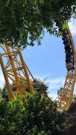 Experience Thrills on the Vibrant Yellow Roller Coaster