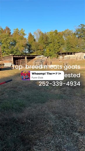 Costen’s farm | Mcell Costen