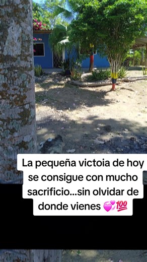 La pequeña victoria de hoy la conseguiras mirando hacía adelante...amando a los demás, abrazando y brindando cariño. Sin olvidar de donde vienes y con mucho sacrificio esas pequeñas victorias te haran una mejor persona cada día. Sigue adelante 💯 #pequeña #victoria #adelante #LIVEIncentiveProgram #LIVEStory