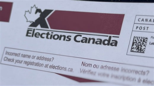 'Truly efficient': Elections Canada voting system goes by the book