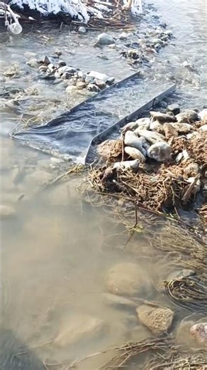 su azaldı savak durdu🥴 Water level decreased, sluice box stopped working.