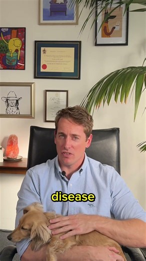 My Dog Keeps Getting Diarrhea? A Vet Explains