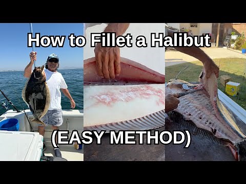 How to Fillet a Halibut (EASY METHOD)