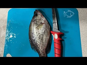 Fishing for crappie in lake Anna Va