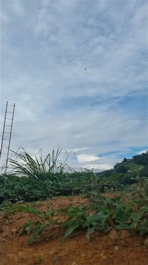 Time-Lapse da Cumulonimbus #stormchaser #cumulonimbus #meteorologia