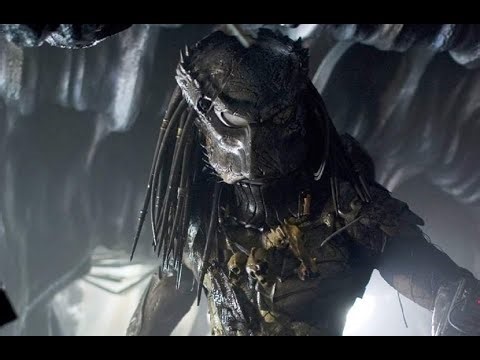WOLF PREDATOR THE GAME ! PLAYING ALIENS VS PREDATOR REQUIEM