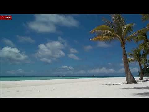 Boracay Beach, Philippines Zoom Background - Coconut Trees (Part 1)