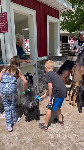 The Fort Wayne Childrens Zoo is the perfect day trip for your family this summer! Explore new heights with the sky ride, catch a train around the lake, and enjoy the many hands on animal encounters! @fwkidszoo | Indy with Kids