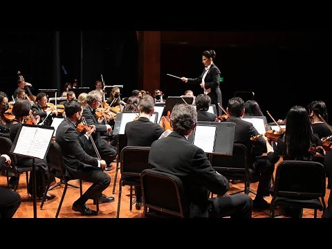 Bruckner - Symphony No. 4 - Romantic | TMCO | Libi Lebel