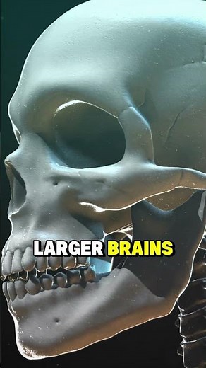 What Will Humans Look Like in 1 Million Years? | Future Human Evolution