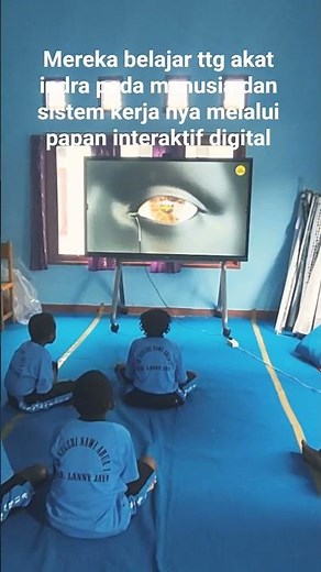 Belajar tentang alat indra pada manusia