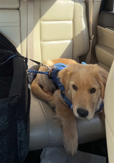 Strange Sounds: Heavy Breathing in My Left Ear