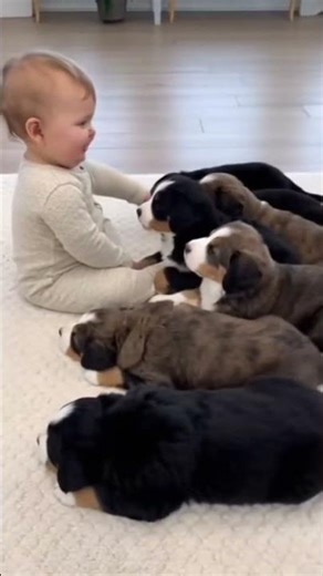 Baby Meets a Pack of Puppies