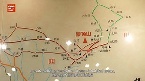 Over 2,000 years ago, Chinese tea culture, rooted in the value of “harmony,” began its journey from the southwest of China, embarking on a global voyage of “harmony in diversity.” Along the way, it blossomed into diverse forms in different cultures. In a single cup of tea, one can taste the refined yet accessible spirit of the Chinese people, the Japanese philosophy in the tea ceremony, the elegance of British afternoon tea, and much more. | Beijing Review