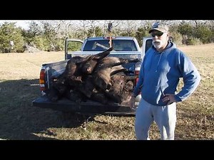 Hog Trap New Trigger Method