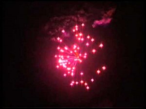 Exterminator 12 Shell Pack