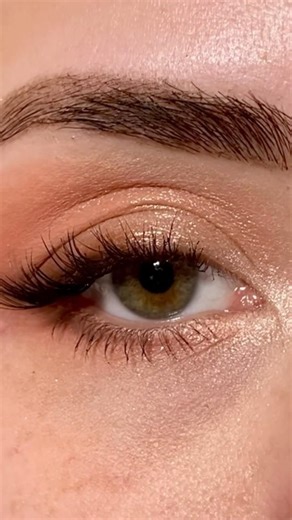 Glossy natural eyeshadow look ✨